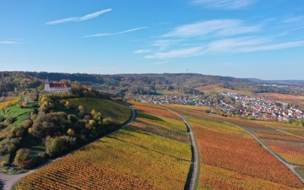 Glas & Gabel unterwegs: Rund um die württembergische Weinsicht 2020 am Michaelsberg